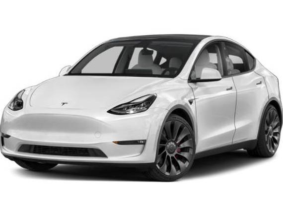TESLA MODEL Y 2023 7SAYGDEE5PA064153 image